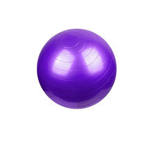 55cm 65cm 75cm PVC Colorido Gym Yoga Ball com bomba de ar